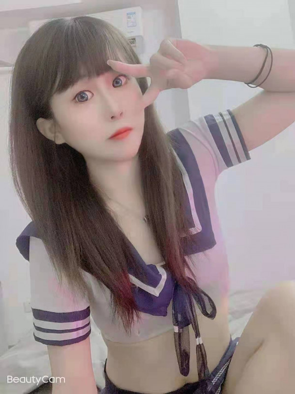 未央区小可爱猫猫